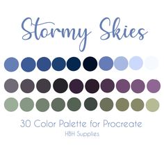 the cover of stormy skies'30 color palettes for procreate hgt supplies