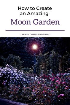 the cover of how to create an amazing moon garden