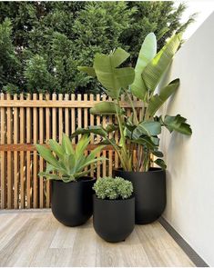 three black planters with plants in them on a deck