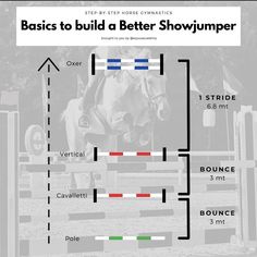 a horse jumping over an obstacle with the words basics to build a better showjumper