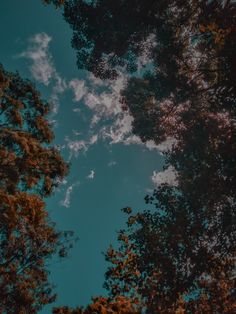 the sky and trees are reflected in the water