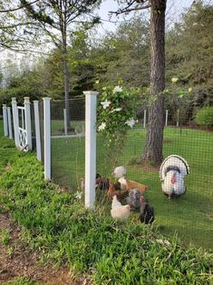 several chickens are in their cages on the grass near trees and fenced off area