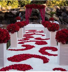 an outdoor wedding ceremony with red flowers on the aisle and white linens down the aisle