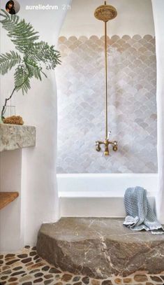 a bath room with a tub and a plant