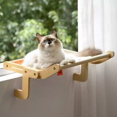 a cat laying on top of a wooden shelf next to a window with trees in the background