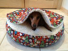 a dog is sitting in his bed on the floor