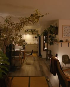 a living room filled with furniture and plants