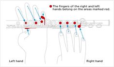 the fingers of the right and left hands belong on the areas marked in red, left hand