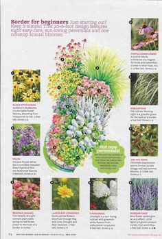 an advertisement showing different types of flowers and plants in the same planter, with instructions on how to care for them