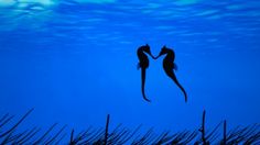 two people are kissing in the water with an ocean background that says, you don't devour being happy in your relationship