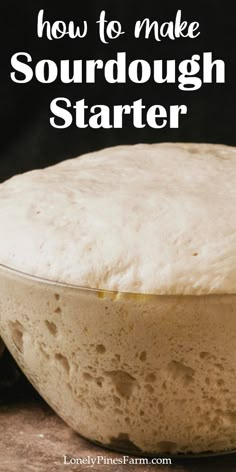 how to make sourdough starter in a glass bowl with text overlay that reads how to make sourdough starter