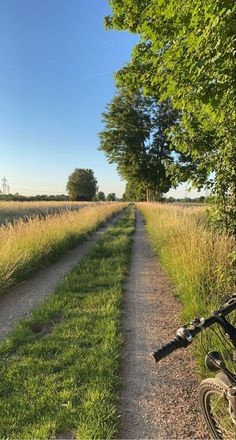 a bike parked on the side of a dirt road next to a lush green field