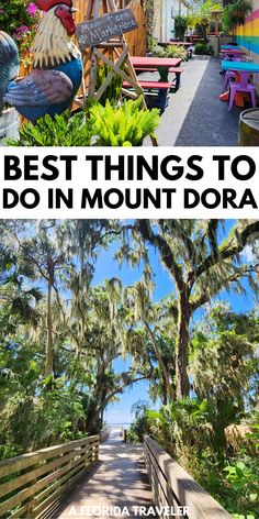 the best things to do in mount dora, florida