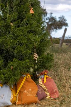 three bags under a christmas tree in the grass