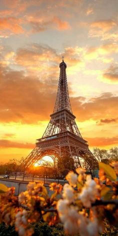 the eiffel tower at sunset with flowers in foreground and clouds in the background