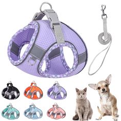 an image of a dog and cat with leashes on the collar, harness for small dogs