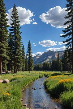 a stream running through a lush green forest filled with pine trees and wildflowers