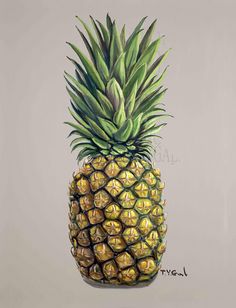 a painting of a pineapple on a gray background