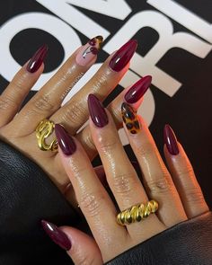 nails, inspo, ideas, trends, instagram, tiktok, social media, nailpolish, season, fall, christmas, winter, tutorial, aesthetic, blackfriday, leopard print, 2000s, y2k, french, frenchnails, holiday, gold, jewellery, ring, chrome, brown, longnails, almond, square, stiletto, fashion, glow, glowup, selfcare, ongles, beauty, nailart, nageldesign, flowers, ombre, 3D art, rings, coquette, glitter, fashion, shiny, cherry, cherryred, darkred, winered, diy, weinrot, wine, dark, animal print, tortoise shell, shop, blooming effect, elegant, rich, chic, cute, hot, charms, thanksgiving, thatgirl pinterest app, wishlist, weihnachten, herbstnägel, winternägel, november, december, outfit, autumn, herbst, visionboard Fall Nails Leopard, Dark Nail Art Designs, Rings Coquette, Dark Nail Art, Red Chrome Nails, Red And Gold Nails, Sheer Nails, Dark Nail, Dark Red Nails