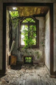 an old room with a broken window and vines growing on the wall, in front of a wooden floor