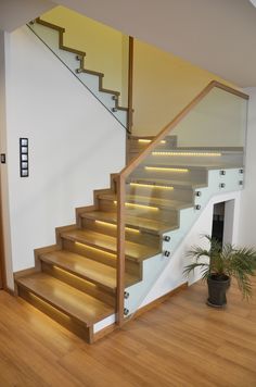 an empty room with stairs and potted plant