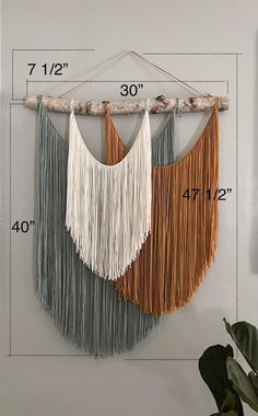 the wall hanging is decorated with two different colored fringes and a plant in front of it