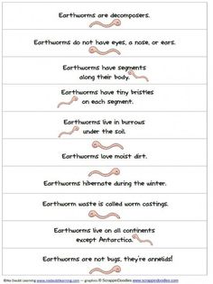 four different types of words that are in the same language, with one being an antelope