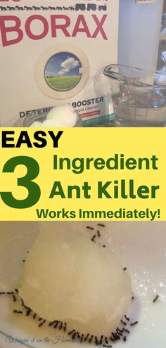 the ingredients for an insect killer are displayed in front of a sign that reads easy ingredient 3 ant killer works immediately