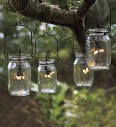 four mason jars hanging from a tree branch with lights in the jar on each one