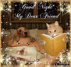 a dog and cat sitting on a couch with a book in front of them that says good night god bless y'all