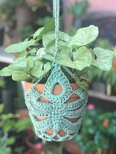 a potted plant with green leaves hanging from it