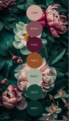 the color scheme for an iphone wallpaper with flowers and leaves