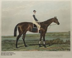 an illustration of a man riding on the back of a brown horse in a field