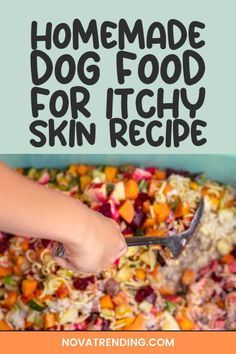 a person scooping food into a bowl with the words homemade dog food for itchy skin