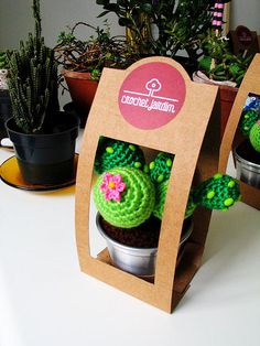 there is a small cactus in a box on the table next to other potted plants