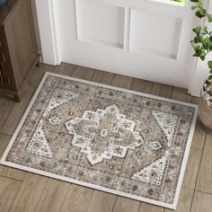 a large rug is on the floor in front of a door with a potted plant