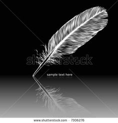 a white feather quill on a black background with reflection in the water and space for text