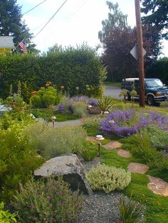 a car parked on the side of a road next to a lush green field with purple flowers