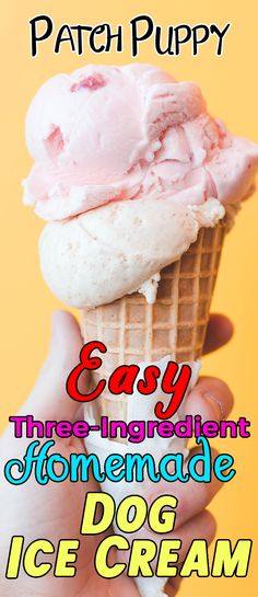 an ice cream cone with the words easy three ingredient homemade dog ice cream