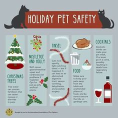 a holiday pet safety poster with cats and christmas decorations on it's back side