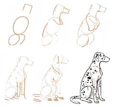 a drawing of a dalmatian dog sitting in front of the letters d and f