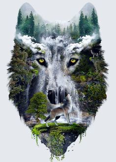 a wolf with yellow eyes standing in front of a waterfall and forest filled with trees