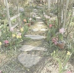 a stone path surrounded by flowers and trees