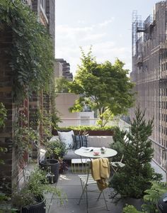 an outdoor patio with tables and chairs surrounded by greenery on the side of buildings