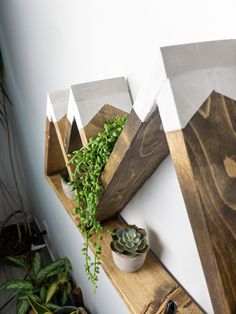 three wooden shelves holding plants and potted plants on top of each shelf in front of a white wall