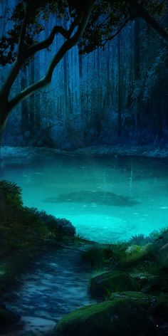 a pond in the middle of a forest at night