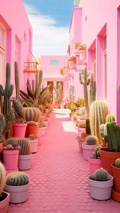 there are many cacti in the potted plants on the sidewalk and one is pink