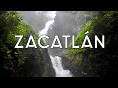 the word zacatan in front of a waterfall with trees and bushes around it