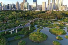 an aerial view of a park with lots of trees and plants in the foreground