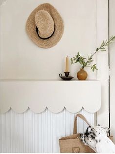 a dog laying on top of a bag next to a wall mounted shelf with a hat on it